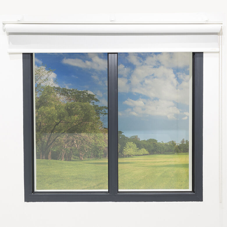GT Roller Blind