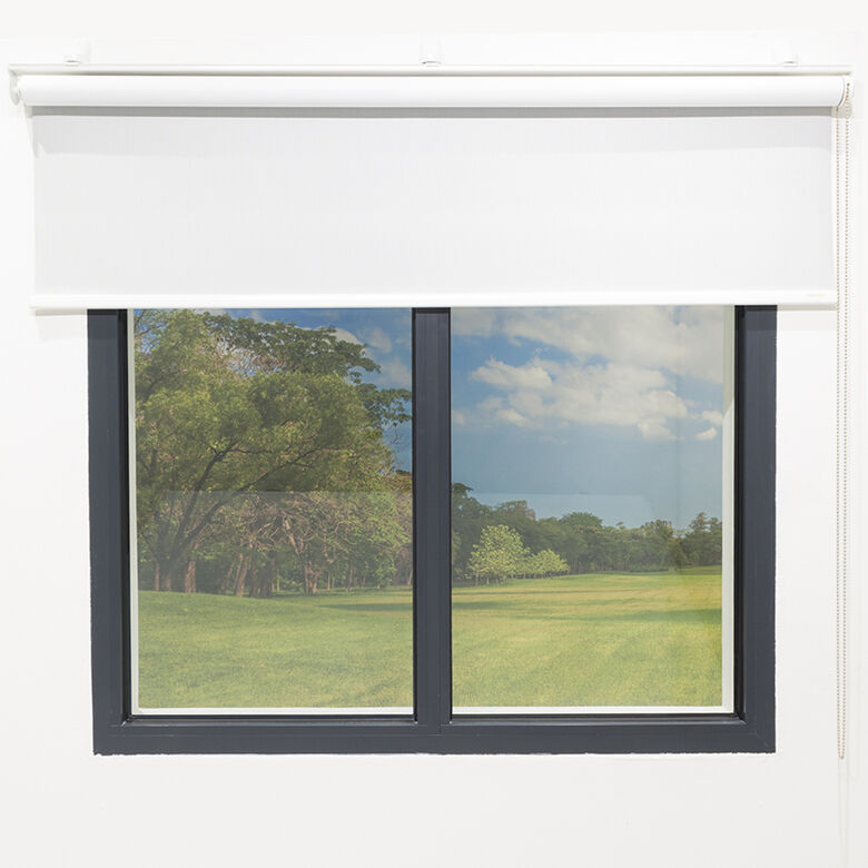 GT Roller Blind