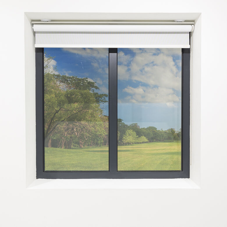 GT Roller Blind